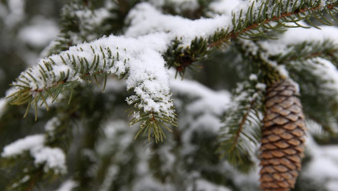 Snow collects on an evergreen tree at Swaim Park in Montgomery, Saturday, March 24, 2018. A winter weather warning remains in effect until 2 a.m. Sunday for portions of Southeast Indiana, Northeast and Northern Kentucky and Southwest Ohio, including Hamilton County. Butler, Clermont, Brown, and Adams counties are under a winter storm advisory until 2 a.m. Sunday.