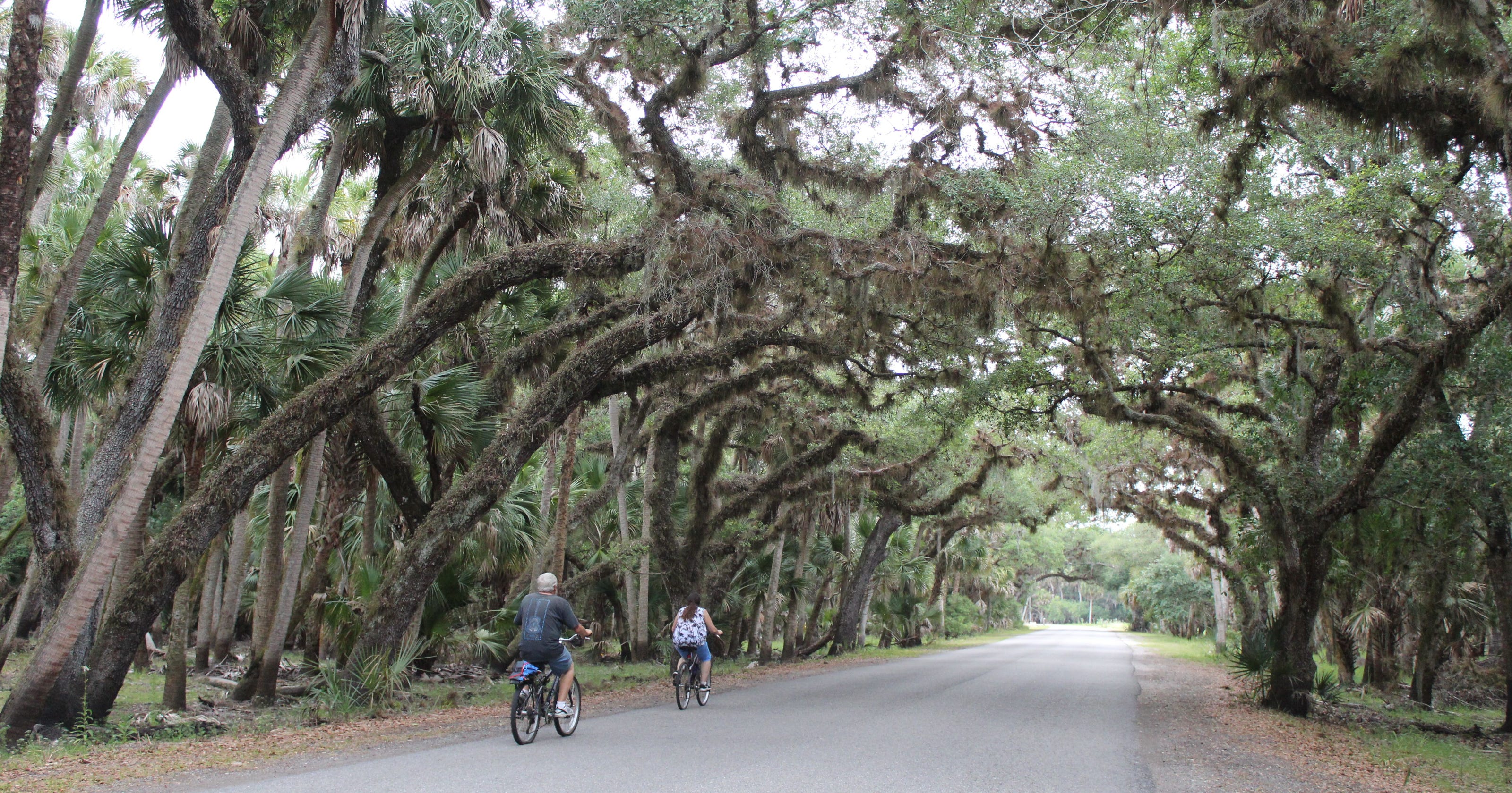 myakka river state park bike trails