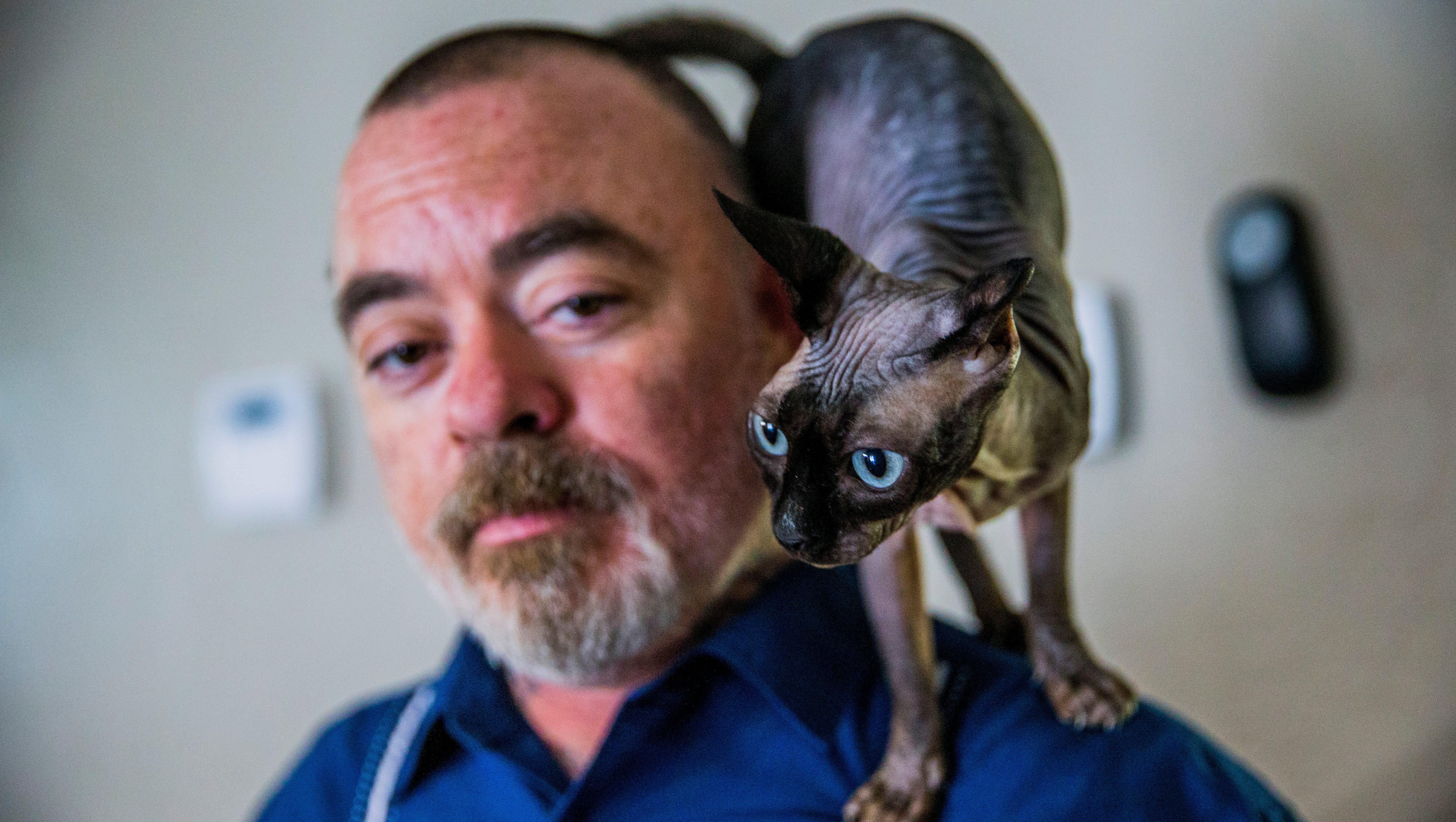 Naked Pets In Naples Becoming More Popular
