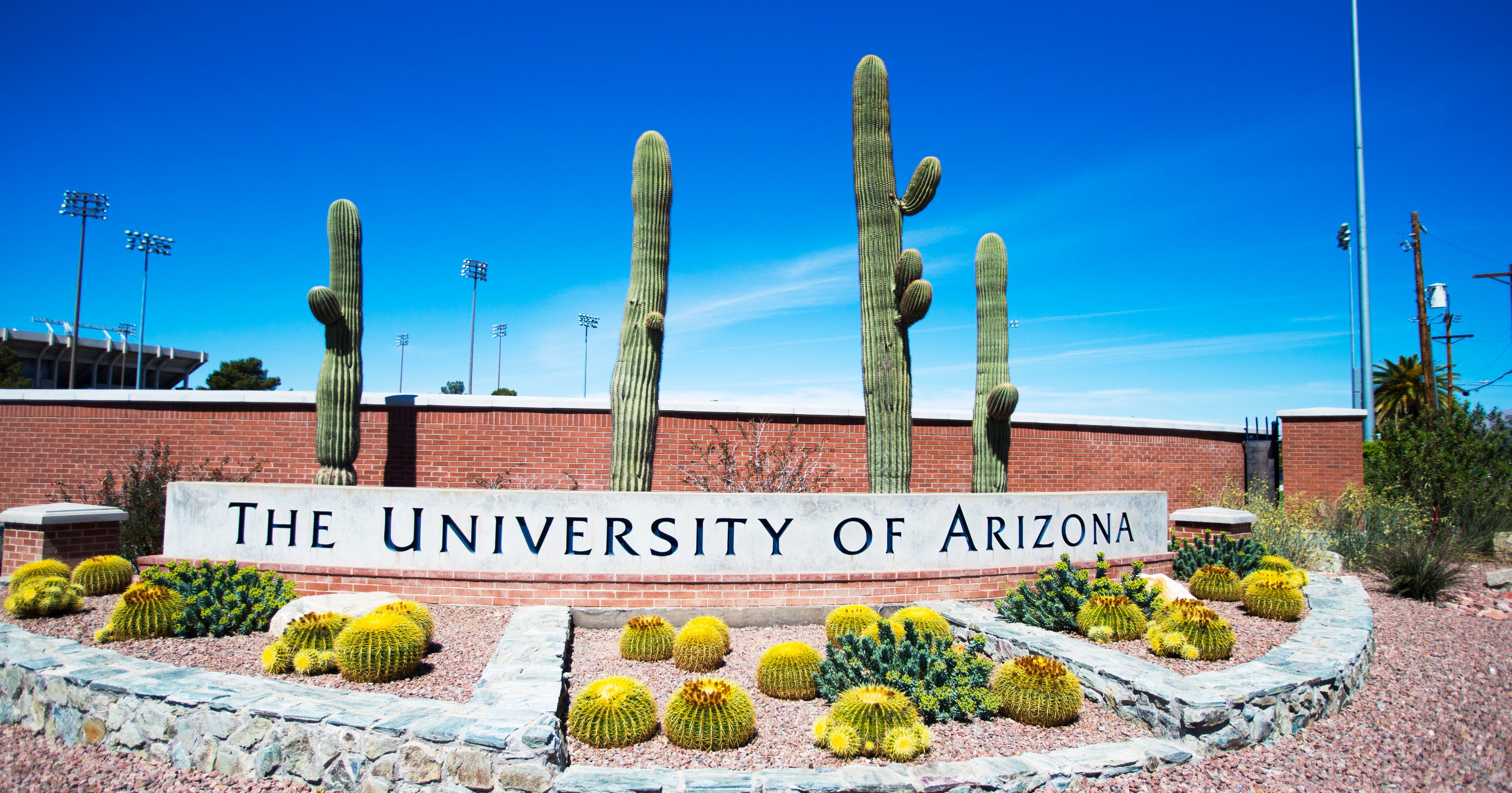 Arizona State Fraternities - sigsfkx