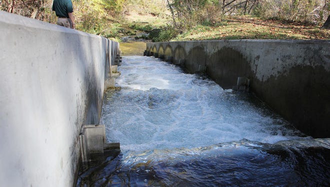 An artificial fish ladder helps trick brown trout into making a spawning run straight into fish hatchery holding tanks.