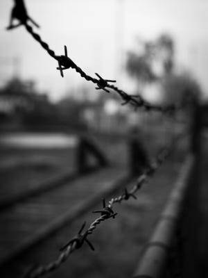 Barbed-wire prison fence