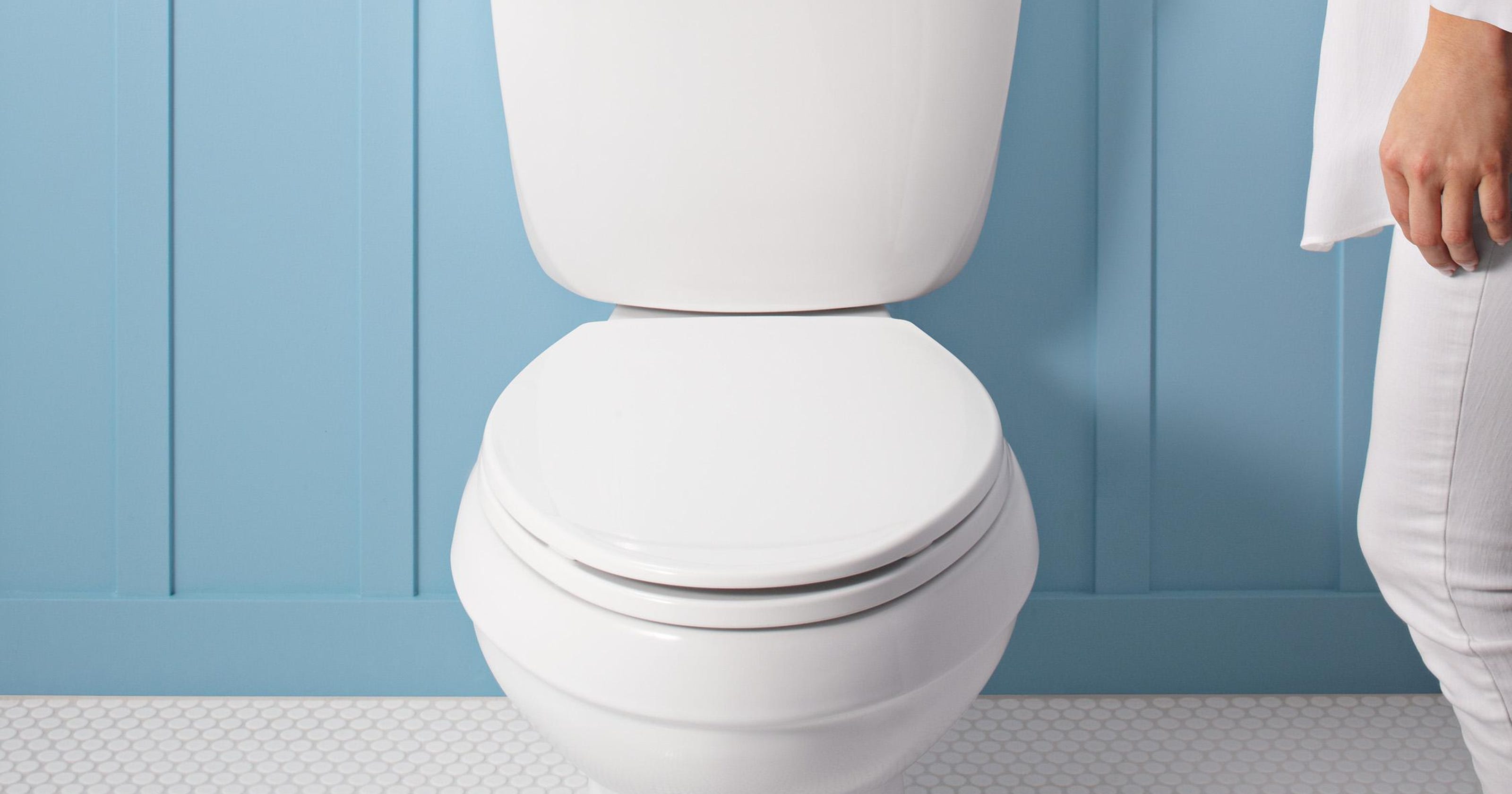 Exploring basic toilet bowl shapes