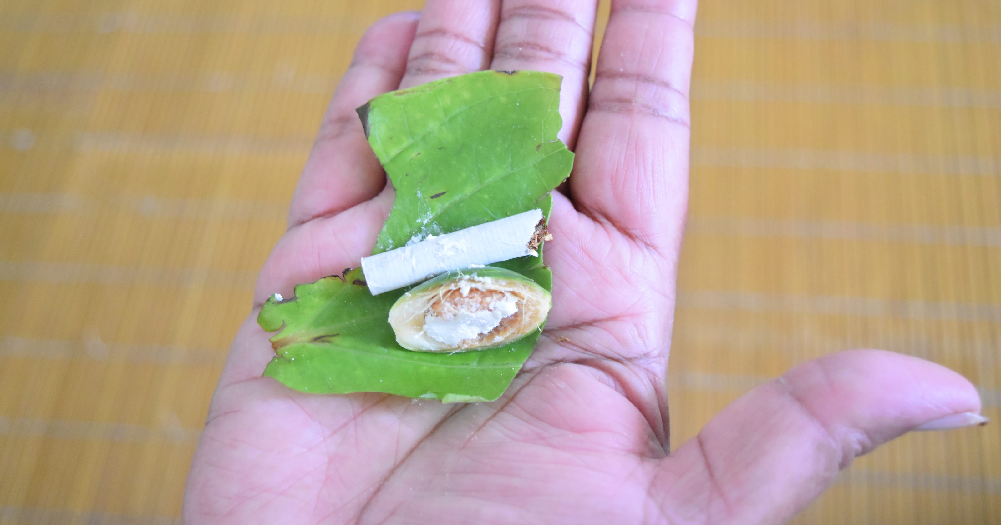 Betel nut chewing could cause cancer loss of teeth
