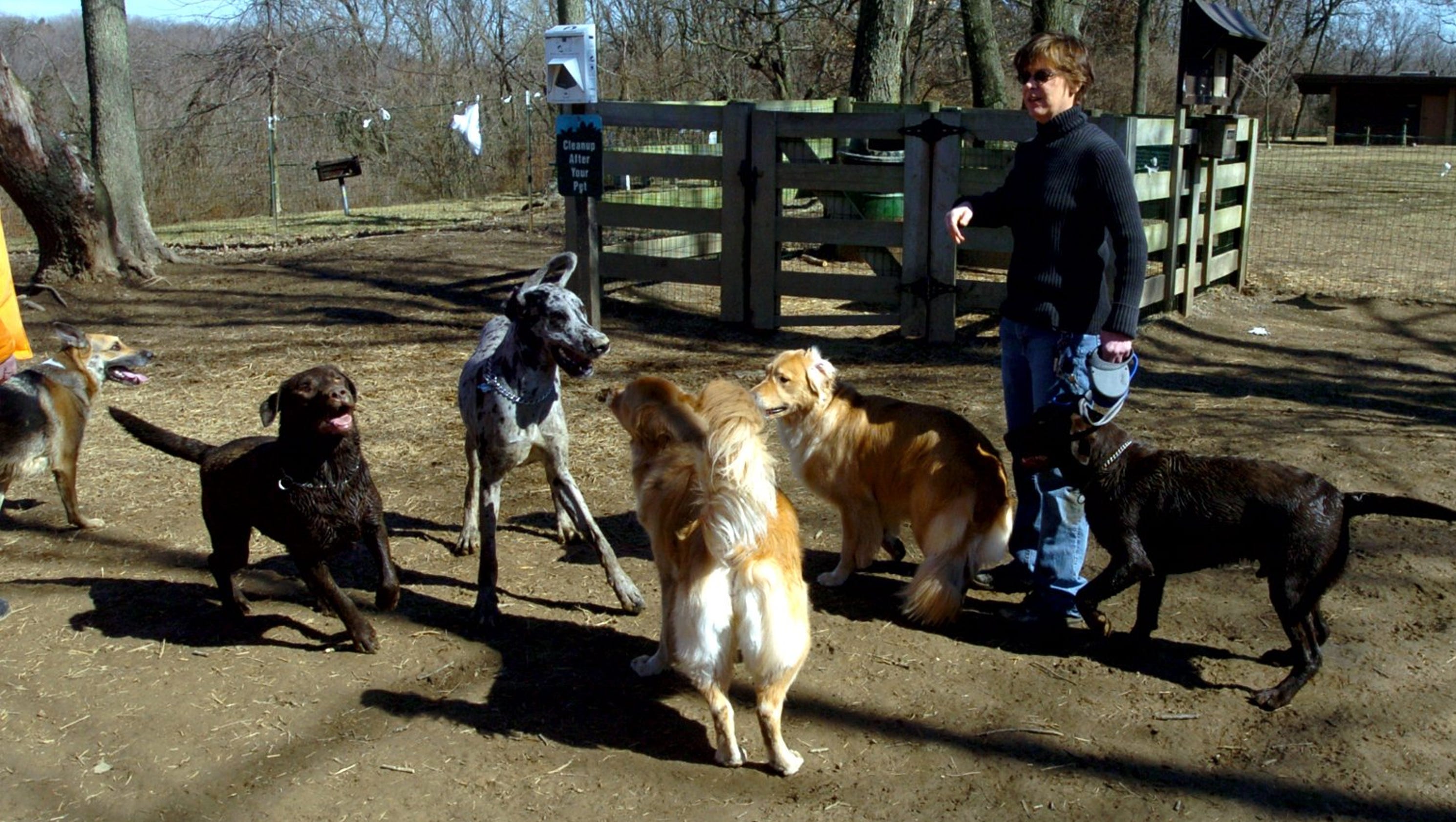 A sure thing Colerain Township dog park to open next month