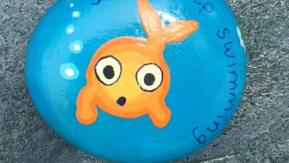 Building Community In Cape Coral One Painted Rock At A Time