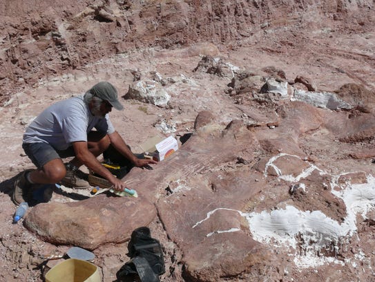 Excavation of Patagotitan fossils on the La Flecha