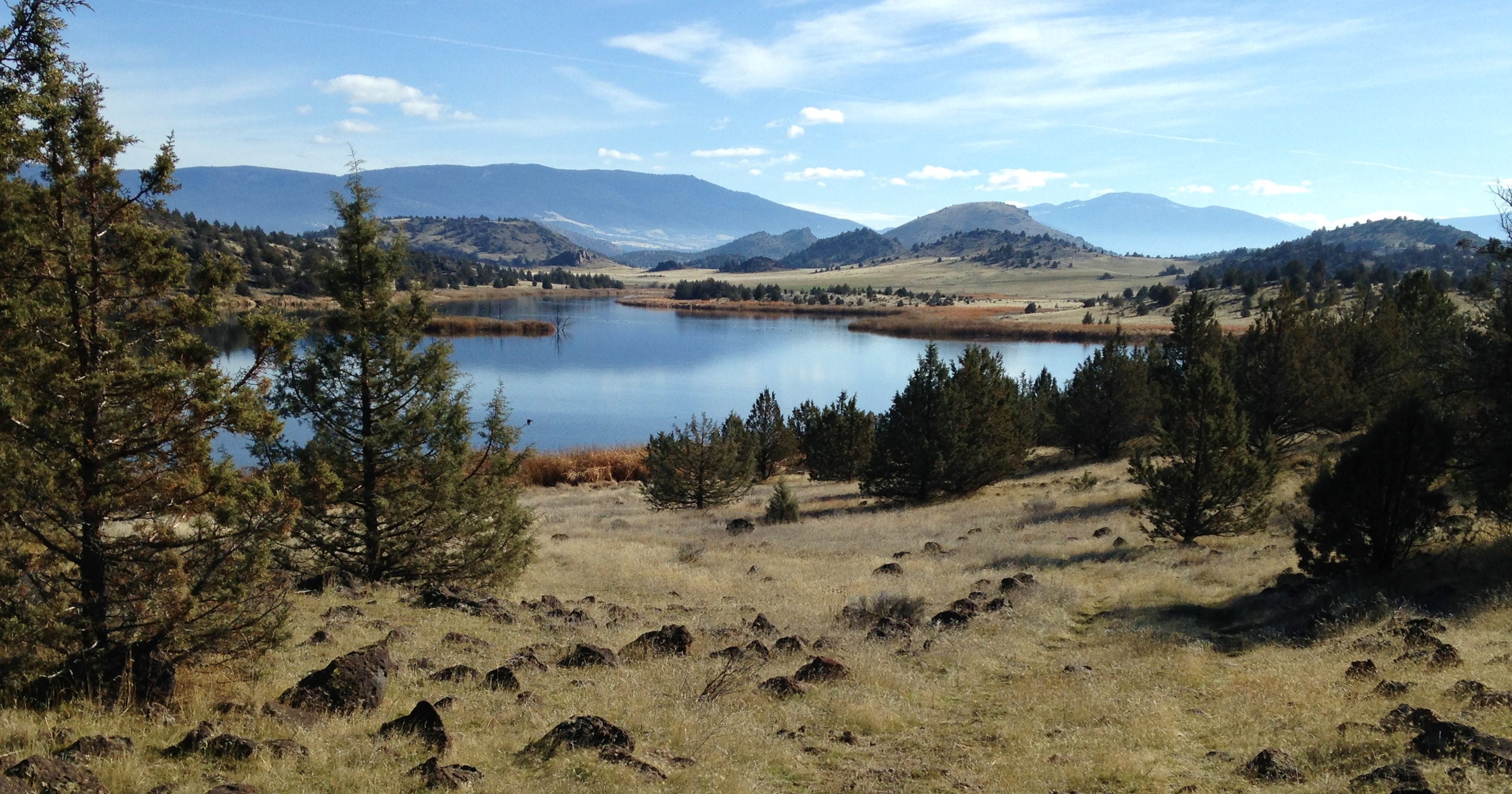 Shasta Valley Wildlife Area offers visitors a high-desert vibe