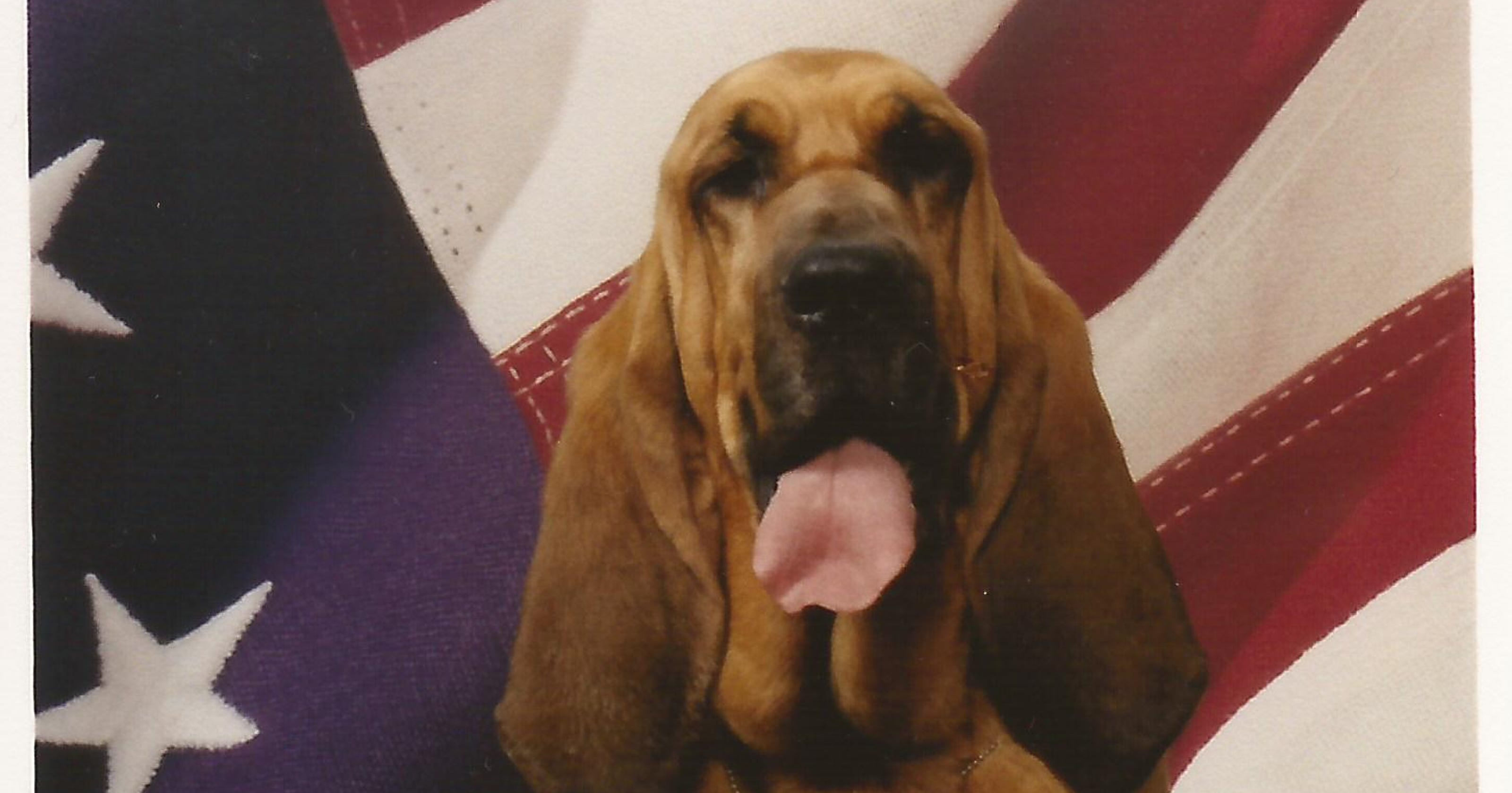 How A Palm Desert Cop Started One Of The Best Bloodhound