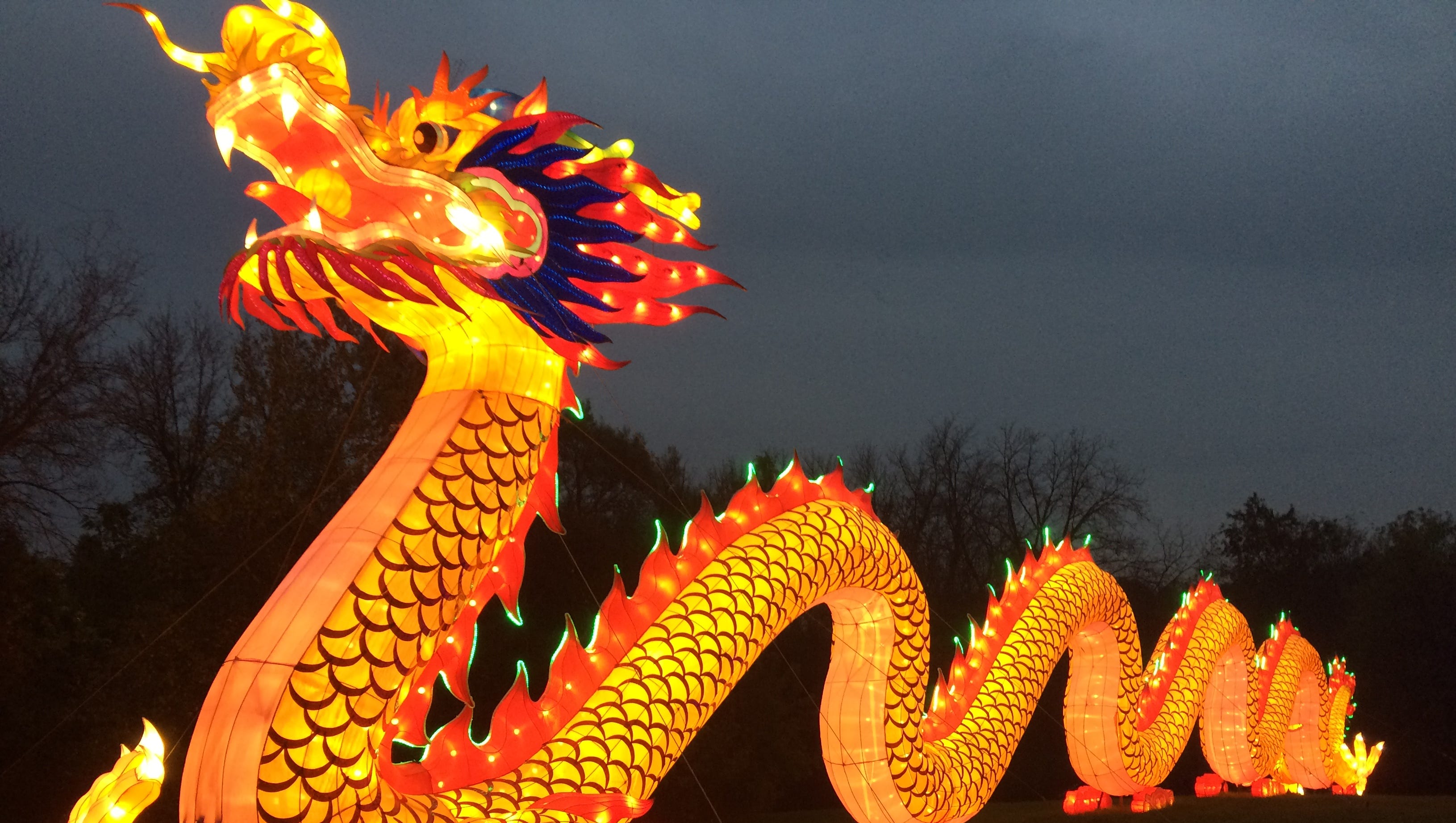 Peladilla Lights Overview