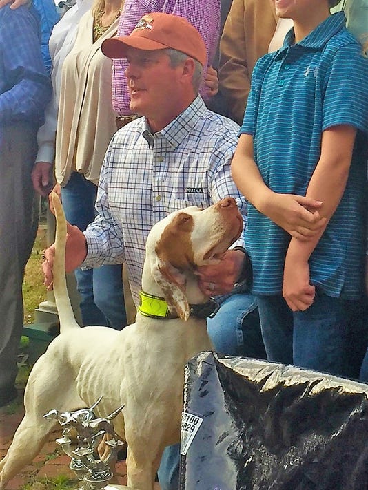 Lester's Sunny Hill Jo wins National Championship for Bird Dogs