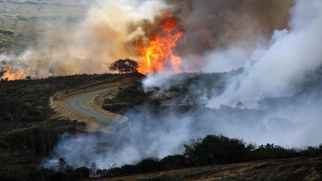 Fire burns on the Eastern edge of a prescribed burn at the former Fort Ord army base in 2009.