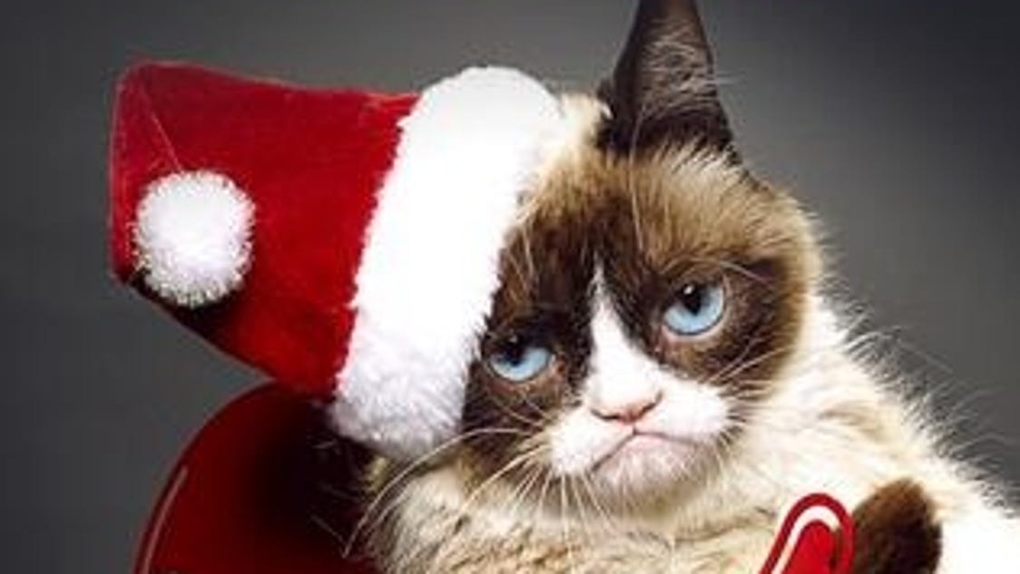 Grumpy Cat gets a voice in holiday movie