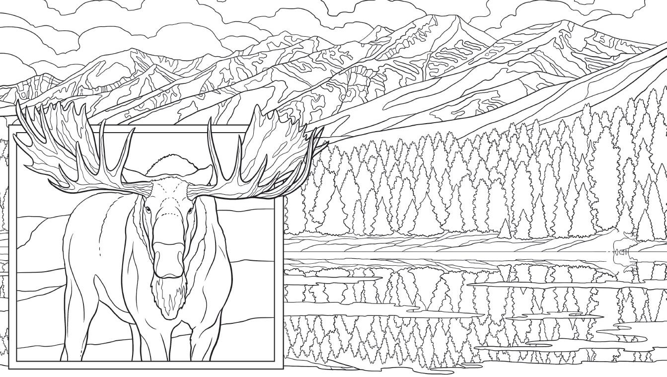 Montana Coloring Book Captures Iconic Scenes