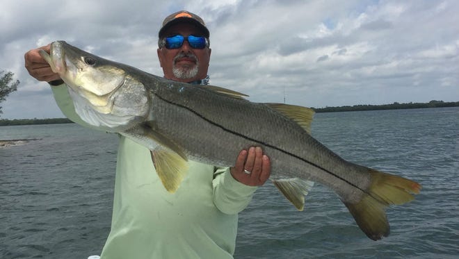 Jack Ostaw and Andrew Katz fished Tuesday with Capt. Brian Williamson of Vero Tackle and caught three snook over 35 inches long on live bait in the Indian River Lagoon.