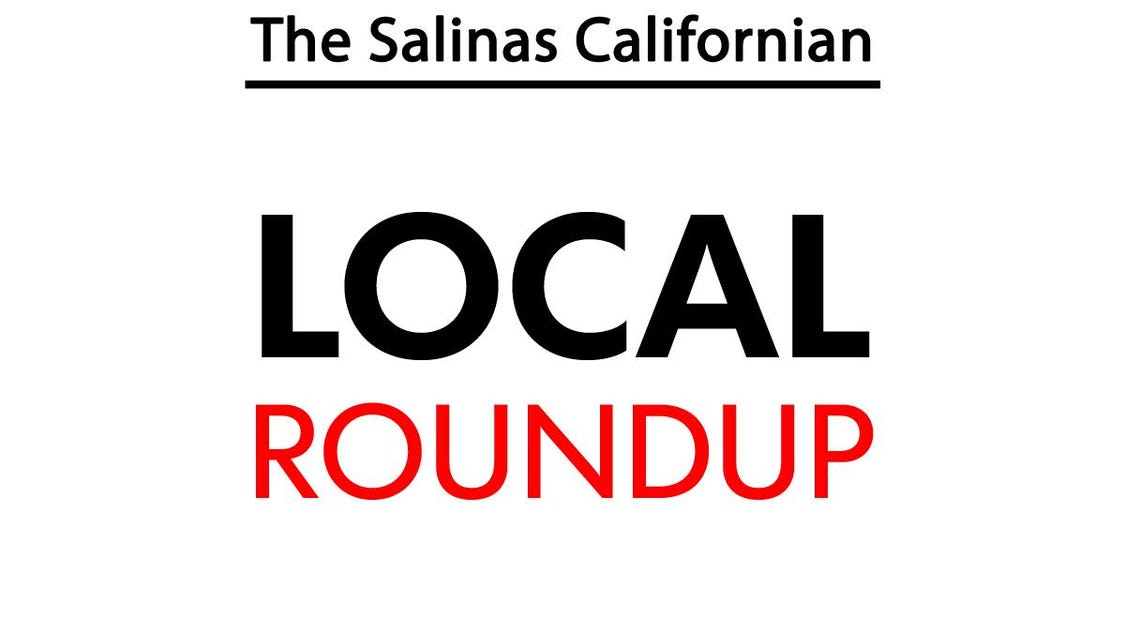 Vikings softball rallies against Santa Catalina - The Salinas Californian