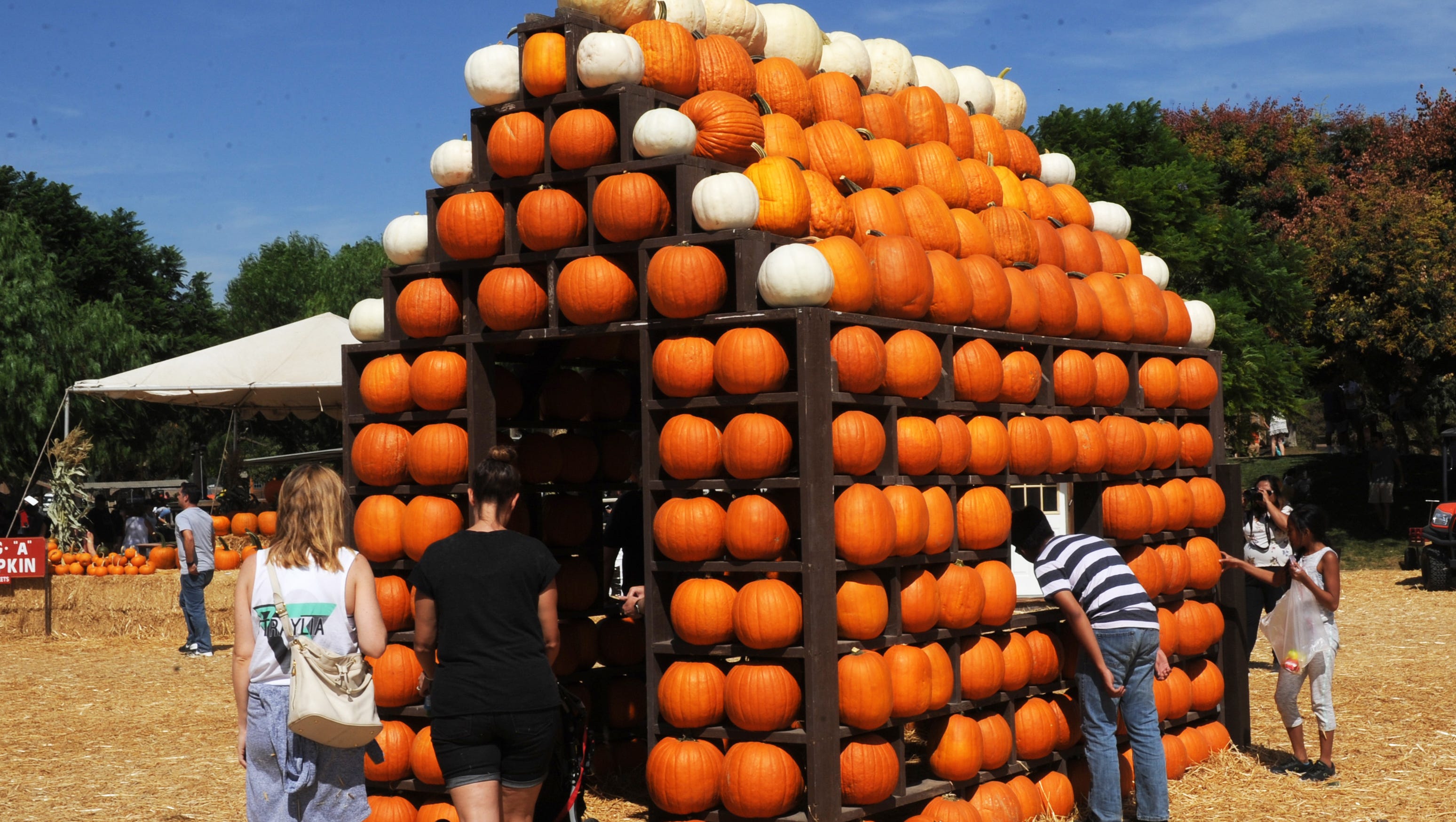 Fall festivals harvest fun throughout the county