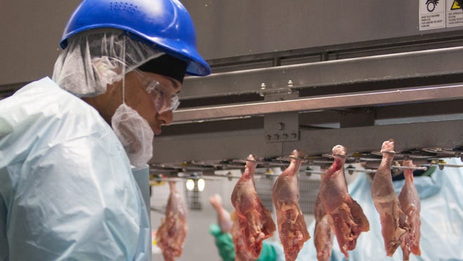 A worker operates a deboning machine in 2013 at Allen Harim plant in Harbeson.