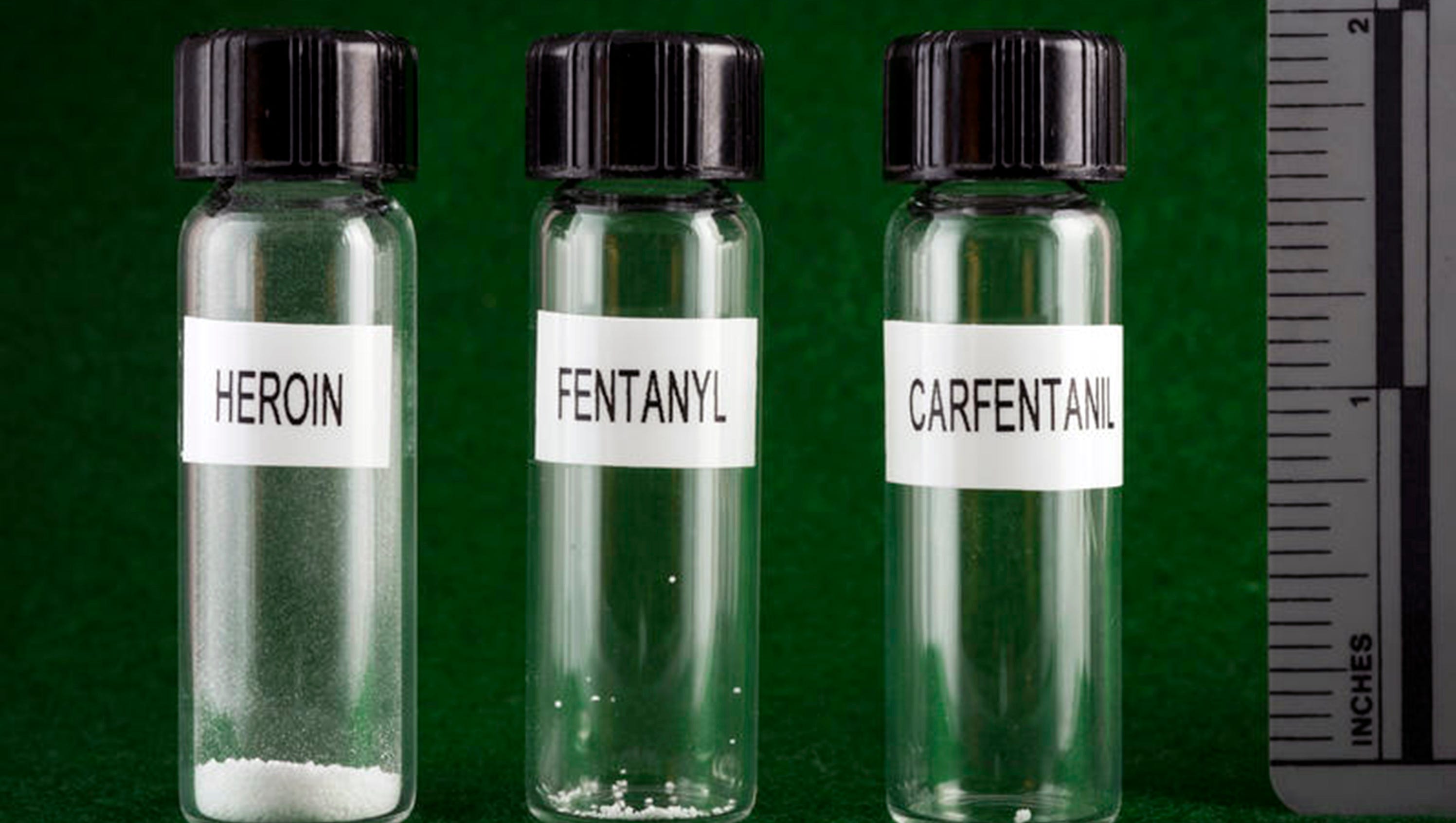 636329712119782791-061317heroin-fentanyl-carfentanil.jpg?width=1320u0026height=746u0026fit=cropu0026format=pjpgu0026auto=webp
