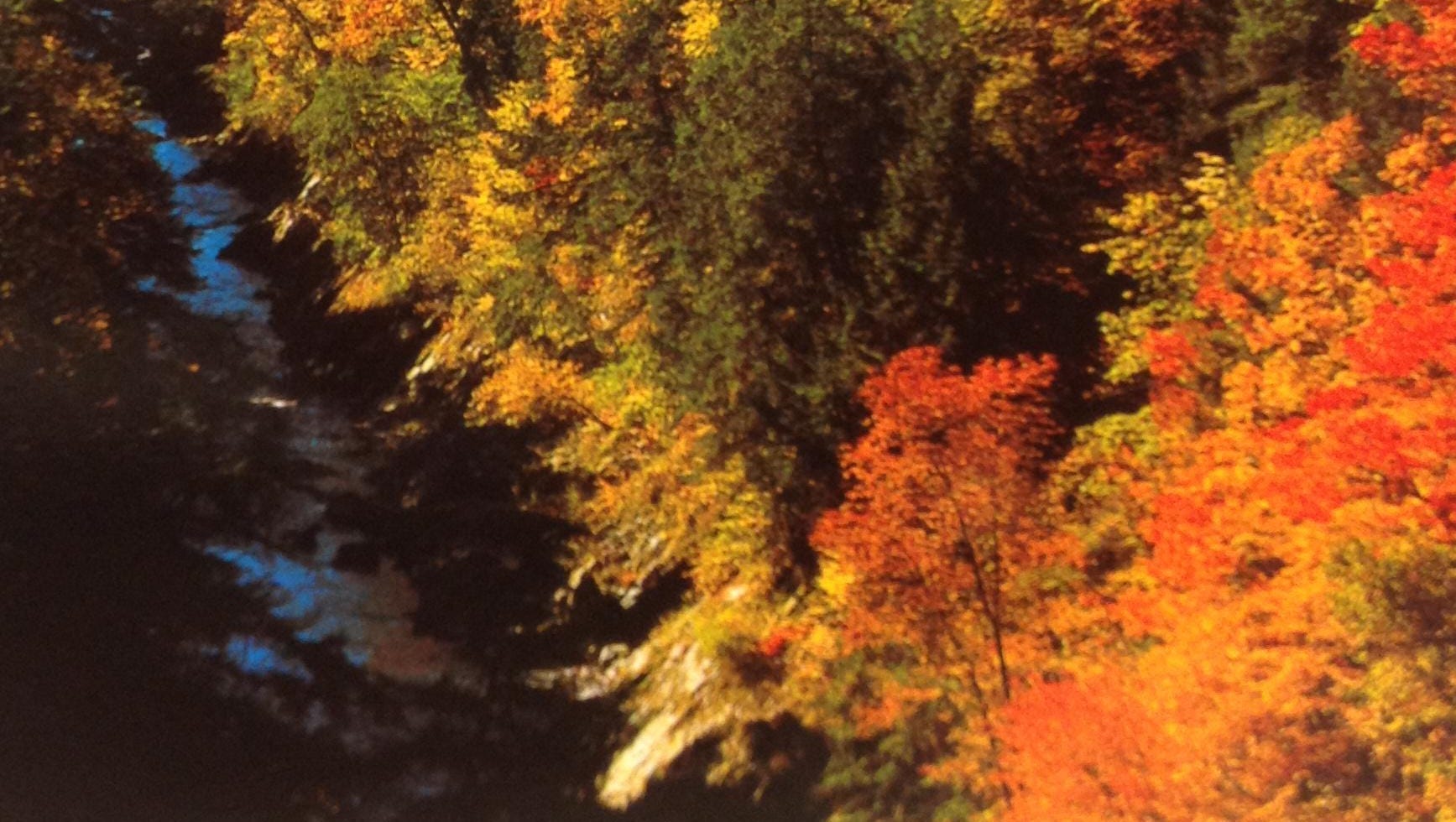 Vermont fall foliage Take this Killingtonarea leafpeeping trip