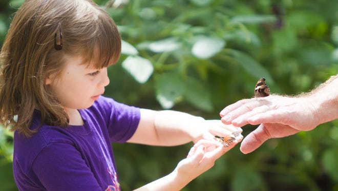 Butterfly Wonderland near Scottsdale offers birthday-party packages with a butterflies, bugs or tropical fish theme.