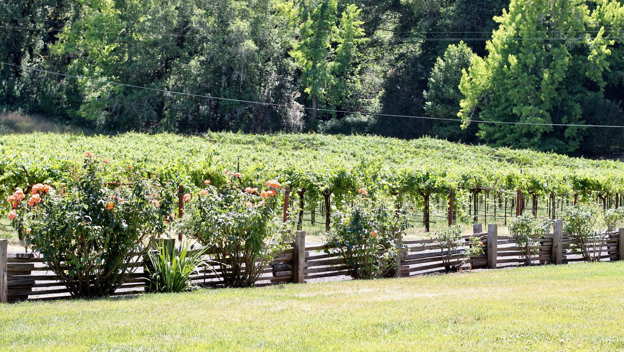 Inside the wine ranch once owned by a movie legend