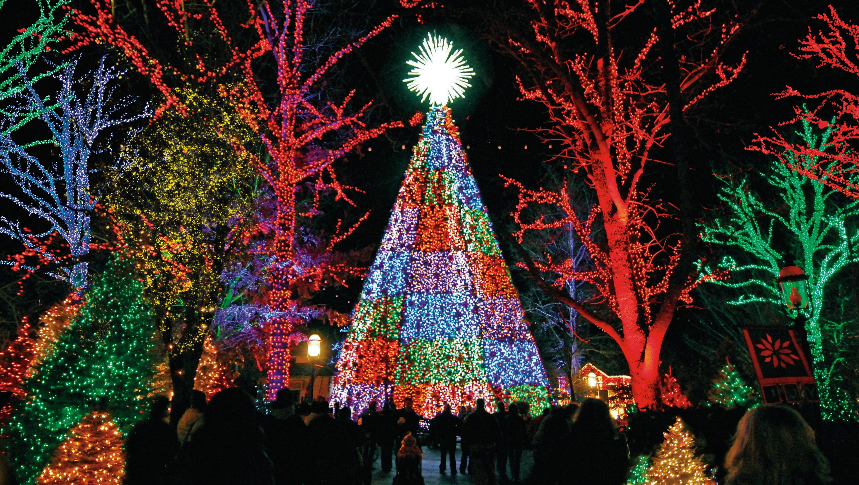 Kết quả hình ảnh cho Winter Wonderland in Tilles Park