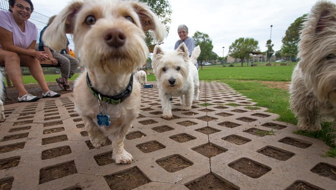 A bill in the Arizona Legislature would allow pet owners to quarantine dogs in their own homes if the pets harm another animal or person, instead of sending them to an animal shelter to be quarantined for 10 days.