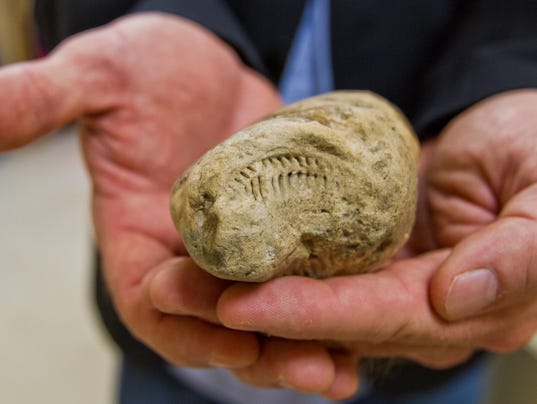 World Record Fossilized Poop Collection On Display