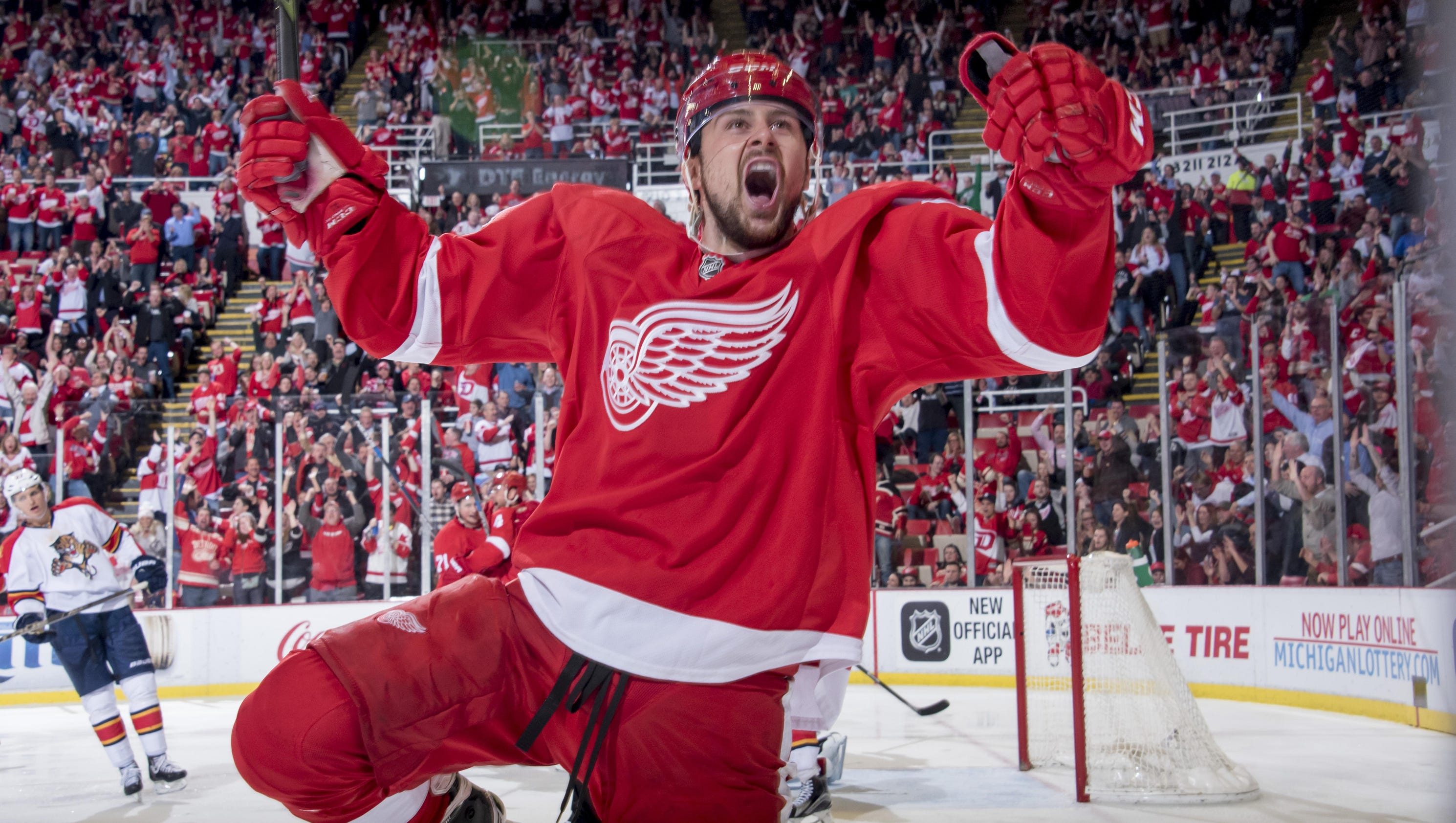 Hockeytown Detroit - cover