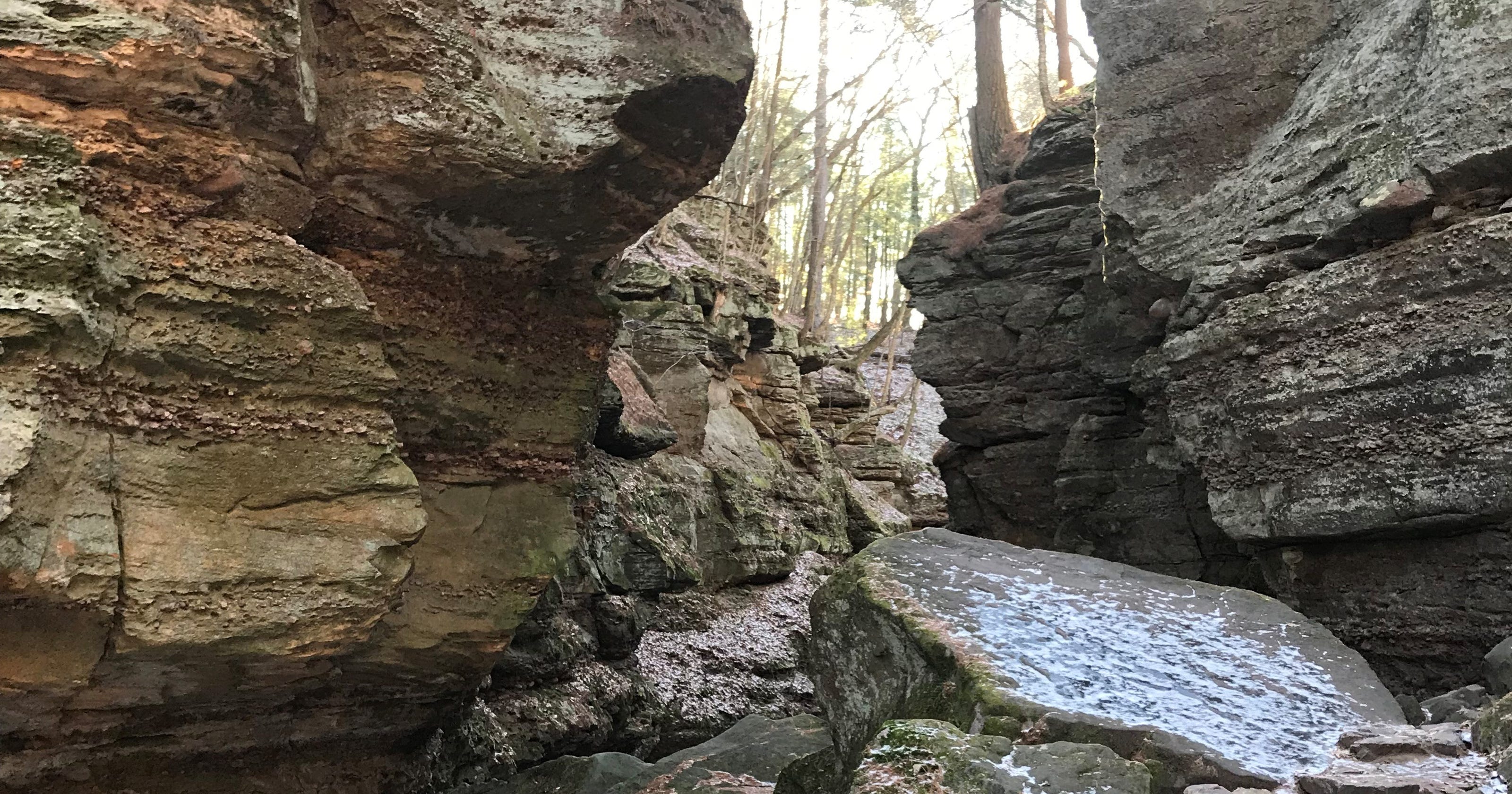 Parfrey's Glen is an alluring hiking destination