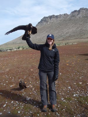 Melissa M. Bobowski, a research biologist from Ferndale, took the D to the Falkland Islands. She is photographed while researching the near-threatened falcon, Striated Caracara (aka “Johnny Rook”) in the Falkland Islands. She was on the uninhabited Steeple Jason Island when this photo was taken. That adult Johnny Rook was just banded and was about to be released while the juvenile Rook at her feet watches.