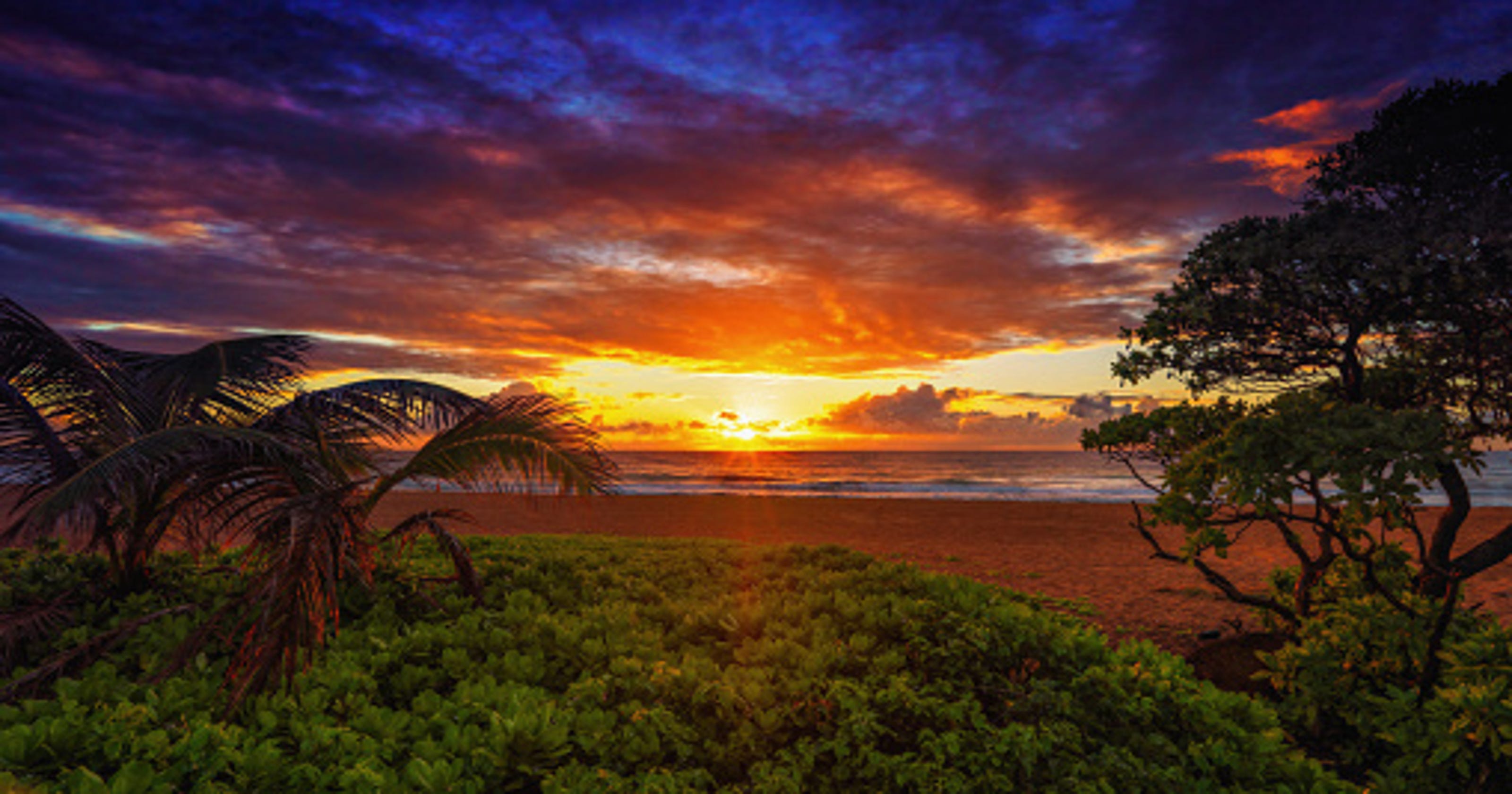 United Airlines fare sale: Phoenix-Hawaii flights August