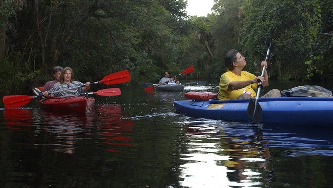Connie Langmann leads a group of kayakers . She was guiding them up the Imperial River in Bonita Springs to look at bats coming from their home at a bridge to feed.