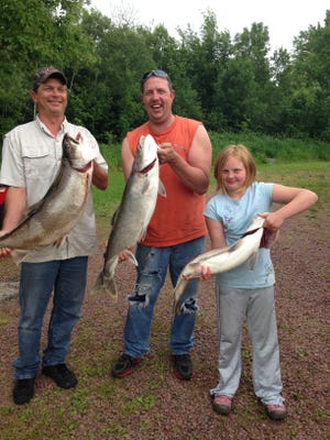 Samantha Soback, 10, and her dad Chad Soback and uncle Dan Harding caught these Lake Trout in Lake Superior in the summer of 2014. Samantha reeled in the fish all by herself.