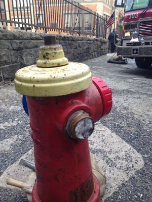 A hydrant across the street from 56 Groshon Ave. in Yonkers.
