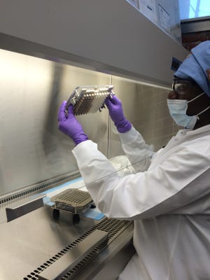 A researcher at OpenBiome, an organization studying fecal microbiota transplants, prepares fecal capsules.