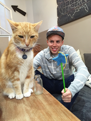 Cat cafes find purrfect setting in cities Cat cafes find purrfect setting in cities