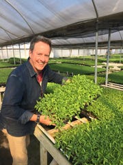 Tomatomania! co-founder Scott Daigre will bring the seedling sale to Otto & Sons in Fillmore on March 22-23 and to Topa Mountain Winery in Ojai on April 6. Plants will also be available on select dates at Underwood Family Farms in Somis and Seaside Gardens in Carpinteria.
