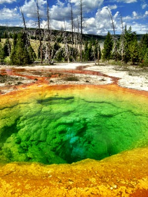 Morning Glory pool at Yellowstone National Park (seen from the footpath instead of the sky).