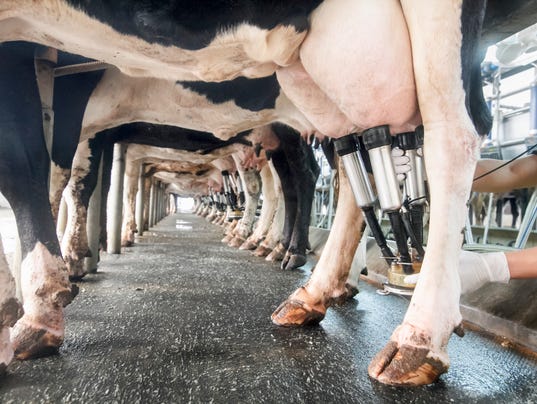 Milk Is Sour Issue In U S Canada Trade Talks As Trump Seeks Nafta