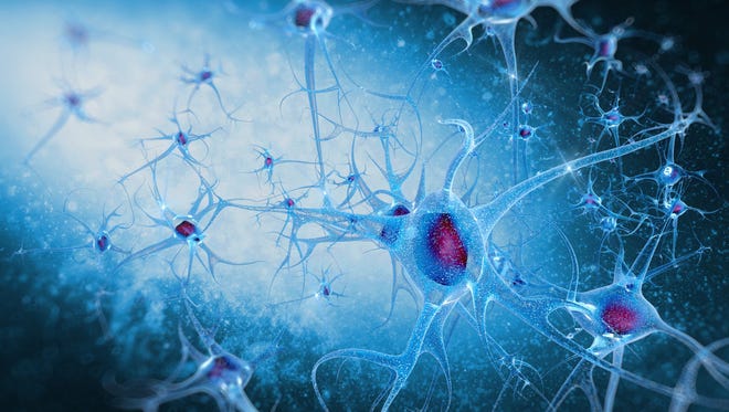 Researchers have discovered a defect in a key cell-signaling pathway they say contributes to both overproduction of toxic protein in the brains of Alzheimer's disease patients as well as loss of communication between neurons.