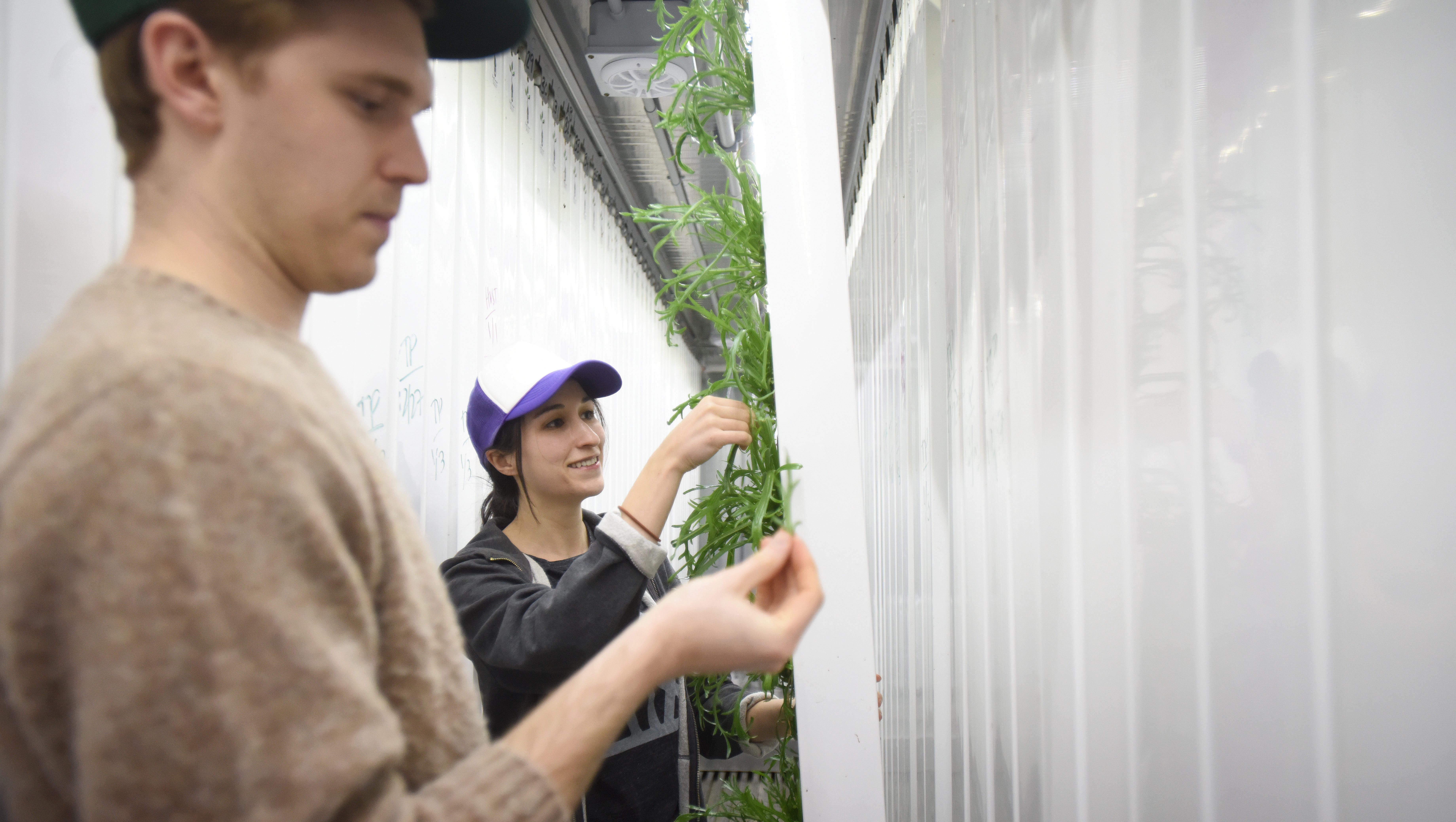 Urban Farm In Brooklyn Parking Lot Expanding To Other U S Cities