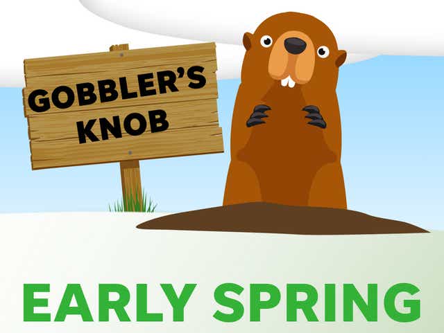 Groundhog Day 2020 Results Phil Predicts Early Spring Sees No Shadow