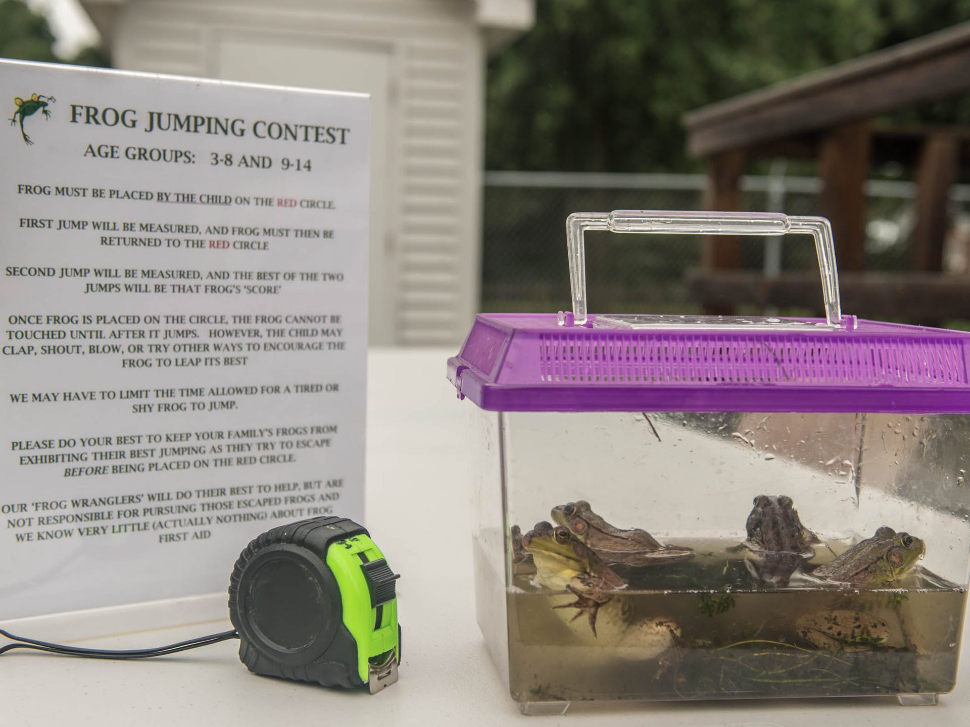 Frogs jump into contest at fair
