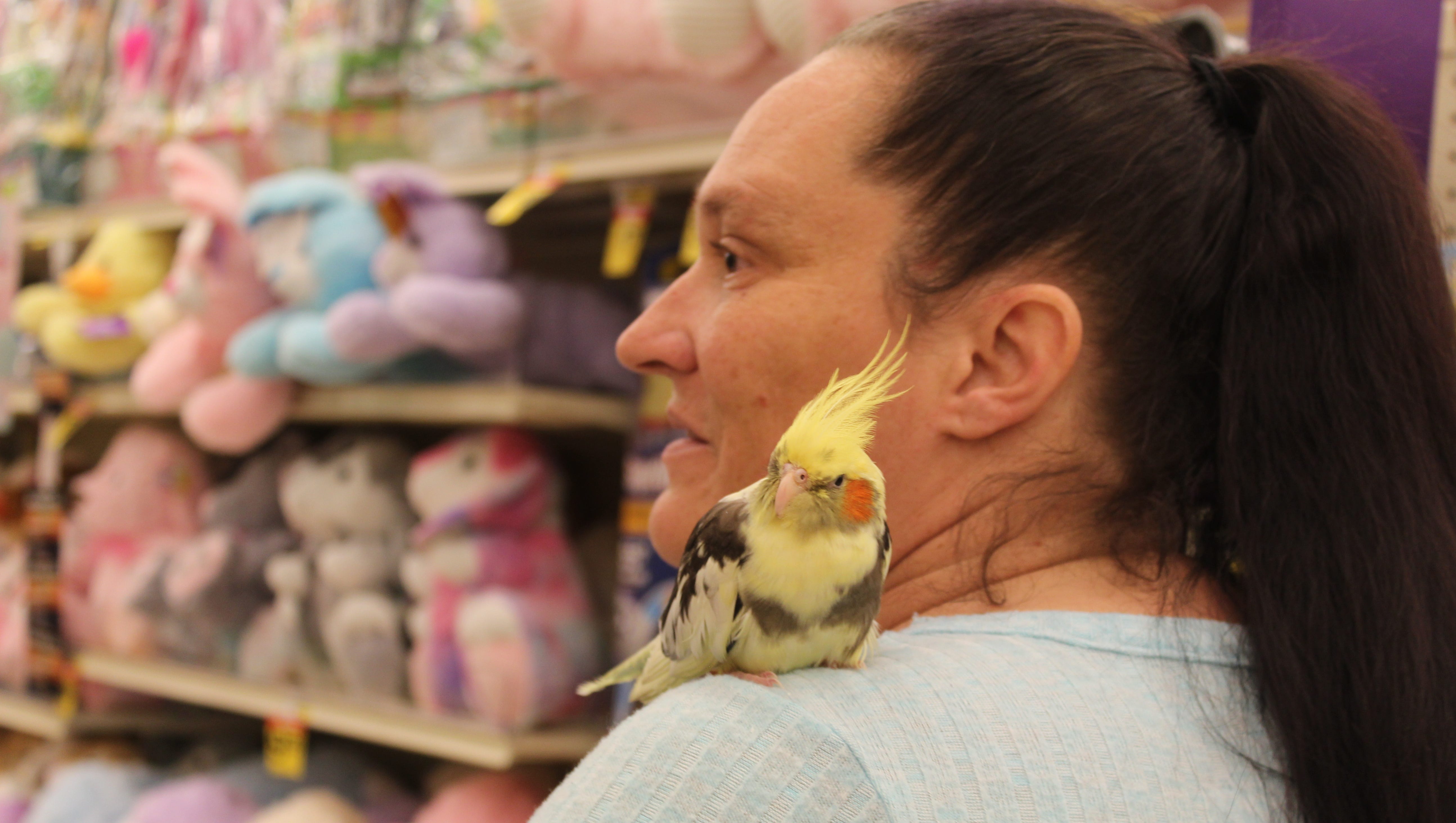 Can a bird be a service animal? Great Falls woman argues