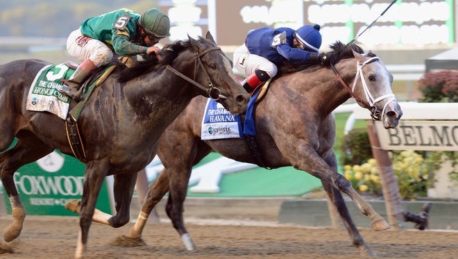 Havana, right, with Irad Ortiz Jr. aboard, won  the Foxwoods Champagne Stakes at Belmont Park in New York, Saturday, Oct. 5, 2013. Honor Code, left, with Javier Castellano aboard, placed second. (AP Photo/New York Racing Association) ORG XMIT: XNYA104