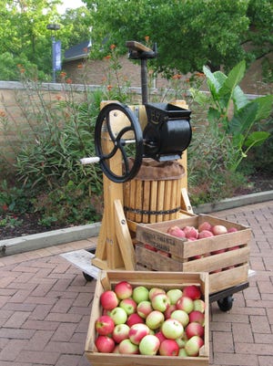 This small, hand-operated apple grinder and press can be used to make fresh apple cider.
