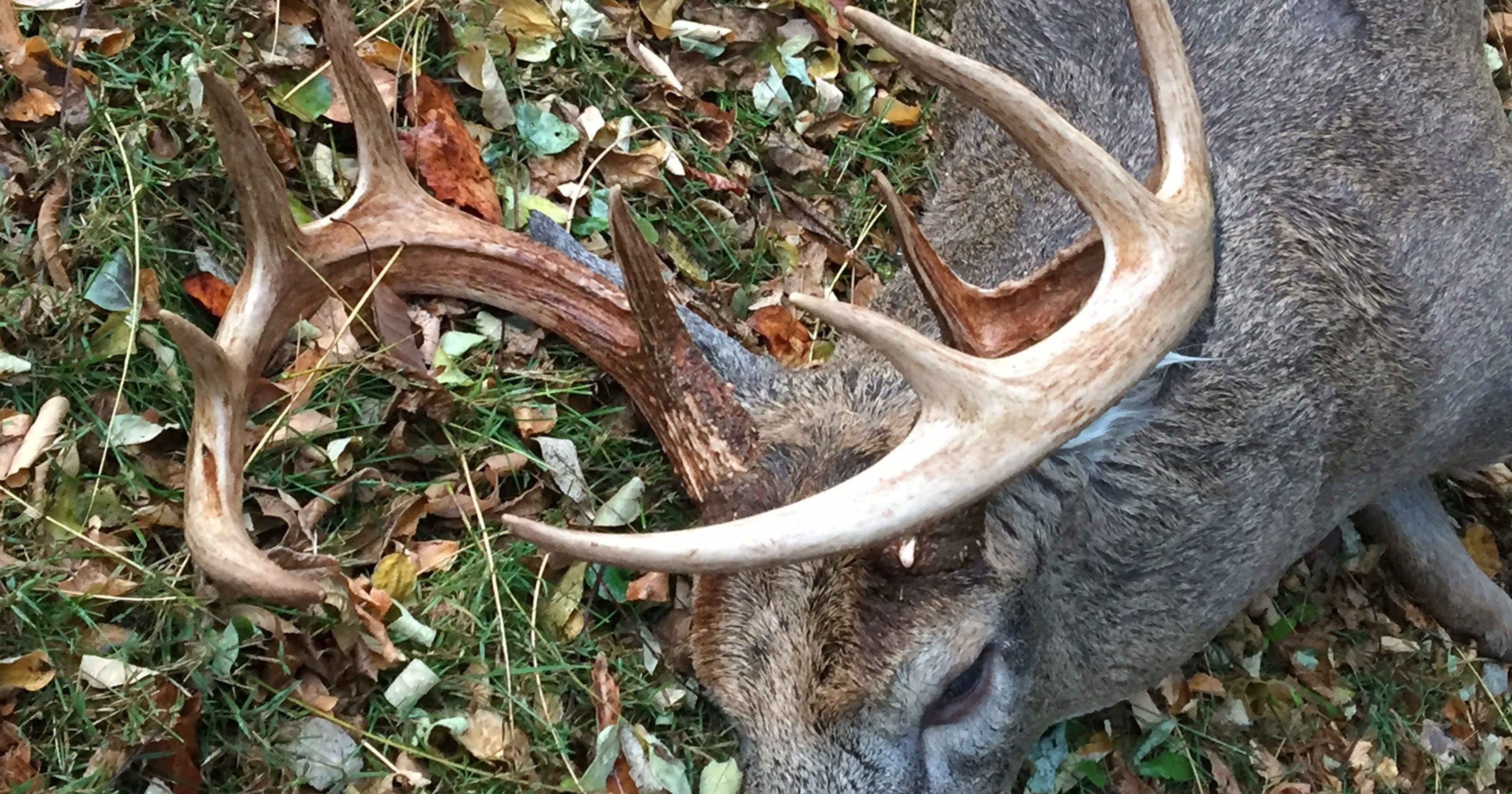 hunting-big-bucks-in-florida-florida-sportsman