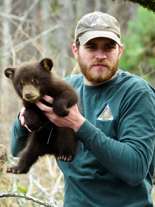 Peek into Missouri black bear's den reveals pair of ...